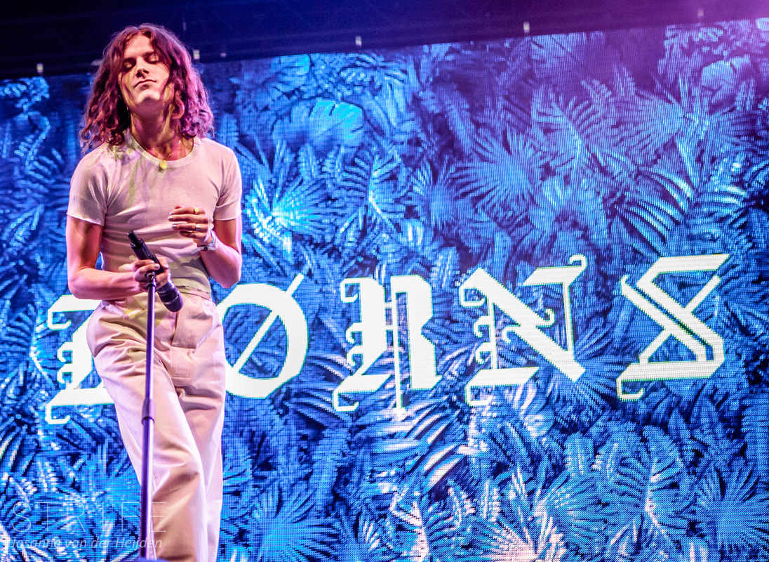 photo-review-brns-employed-to-serve-the-lemon-twigs-lowlands