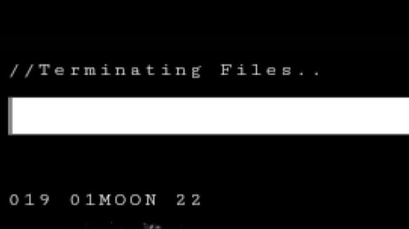 dmaorg-terminating-files